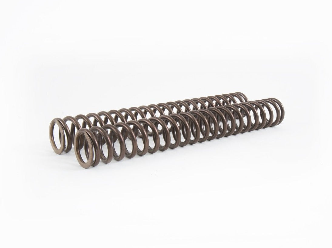 OHLINS Kawasaki ZZ-R1400 Front Fork Springs (9.5, 10.0, 10.5 N/mm
