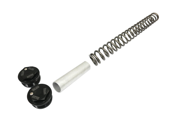 OHLINS Yamaha YZF-R15 (14/16) Fork Springs Kit – 2Wheels Hero
