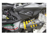 CARBONVANI Ducati Panigale (12/19) Carbon Cylinders Covers Set