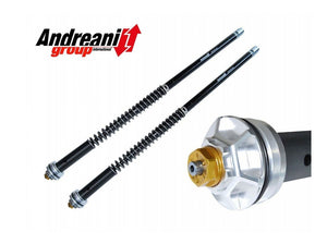 CFD105/A11E - ANDREANI APRILIA RS 660 (2020+) Adjustable Cartridge Kit – Accessories in the 2WheelsHero Motorcycle Aftermarket Accessories and Parts Online Shop