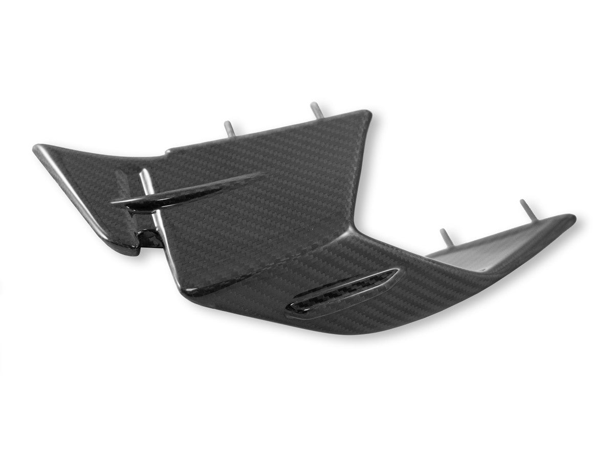 DBK BMW S1000RR (2023+) Carbon Winglets (pair, glossy) – 2Wheels Hero