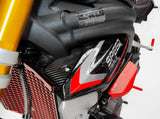 CRB68L - DBK Triumph ST Internal Radiator Panels (Glossy Carbon Side Panels)