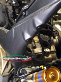 CARBONVANI Ducati Streetfighter V4 (2020+) Carbon Rear Frame Covers Kit