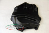 CARBONVANI Ducati Streetfighter V4 (20/24) Carbon Cylinder Covers Kit – Accessories in the 2WheelsHero Motorcycle Aftermarket Accessories and Parts Online Shop
