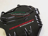 CARBONVANI Ducati Panigale V4 (2018+) Carbon Cylinder Covers