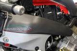 CARBONVANI Ducati Panigale V4 / V4S (20/21) Carbon Fuel Tank Frame Covers – Accessories in the 2WheelsHero Motorcycle Aftermarket Accessories and Parts Online Shop