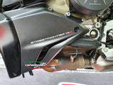 CARBONVANI Ducati Streetfighter V4 (2020+) Carbon Belly Pan