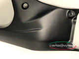 CARBONVANI Ducati Streetfighter V4 (20/24) Carbon Fuel Tank Side Frame Covers – Accessories in the 2WheelsHero Motorcycle Aftermarket Accessories and Parts Online Shop