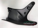 CARBONVANI Ducati Streetfighter V4 (20/24) Carbon Fuel Tank Side Frame Covers – Accessories in the 2WheelsHero Motorcycle Aftermarket Accessories and Parts Online Shop