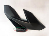 CARBONVANI Ducati Streetfighter V4 (20/24) Carbon Side Fairing Panels – Accessories in the 2WheelsHero Motorcycle Aftermarket Accessories and Parts Online Shop