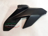 CARBONVANI Ducati Streetfighter V4 (20/24) Carbon Side Fairing Panels – Accessories in the 2WheelsHero Motorcycle Aftermarket Accessories and Parts Online Shop