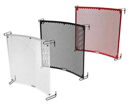 DBK DUCABIKE GR30 Triumph 765 (2023+) Radiator Guard – Accessories in the 2WheelsHero Motorcycle Aftermarket Accessories and Parts Online Shop