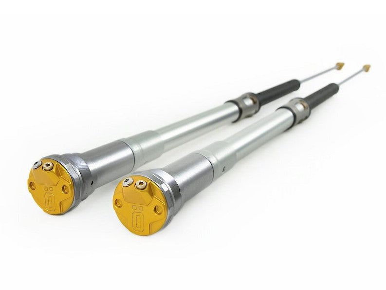 OHLINS FGKA1690 Kawasaki KX85 (09/20) Cartridge Kit (MX & Enduro