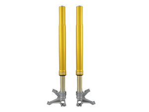 ÖHLINS FGR254 Ducati Panigale V4 (20/23) Front Fork (Road & Track) – Accessories in the 2WheelsHero Motorcycle Aftermarket Accessories and Parts Online Shop