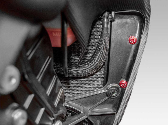 KVT49 - DUCABIKE Ducati Diavel V4 (2023+) Radiator Side Panel Screw Kit