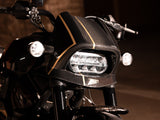 ZARD Harley Davidson Sportster S 1250 (2021+) Carbon Headlight Fairing Kit "120th Limited Edition"