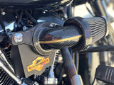 ZARD Harley Davidson Touring M8 (16/20) Carbon Air Filter "120th Limited Edition" (racing)
