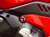 TTF09 - DBK Ducati Diavel V4 (2023+) Kit Side Caps