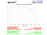 HP CORSE Suzuki DL1000 V-Strom (17/19) Slip-on Exhaust "SPS Carbon Titanium" (EU homologated)