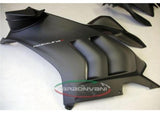 CARBONVANI Ducati Panigale V4R Carbon Side Fairing Panel + Winglet (left)