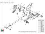 TH02 - BONAMICI RACING Triumph Speed Triple 1050 (05/10) Adjustable Rearset