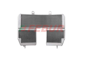 FEBUR Aprilia RSV 1000 (00/03) Complete Water Radiator (Racing) – Accessories in the 2WheelsHero Motorcycle Aftermarket Accessories and Parts Online Shop