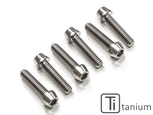 KV450X - CNC RACING Ducati Panigale V4R Titanium Clutch Cover Bolts (for CNC RACING cover)