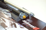 CFD105/D06 - ANDREANI Ducati Diavel (11/14) Adjustable Cartridge kit