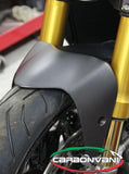 CARBONVANI Ducati Monster 797 Carbon Front Fender