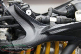 CARBONVANI Ducati Monster 1200/821 (14/17) Carbon Seat Frame Covers Kit