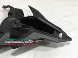CARBONVANI Ducati Panigale V4 (2018+) Carbon Tail Bottom (under seat tray)