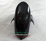 CARBONVANI Ducati Panigale V2 (2020+) Carbon Front Fender