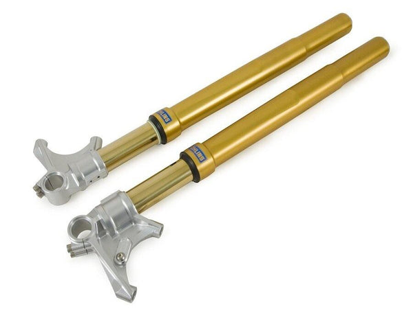 FGRT225 - OHLINS Kawasaki ZX-10R (16/20) Front Fork