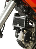 OCG0006 - R&G RACING Ducati Hypermotard 796 / 1100 Oil Cooler Guard