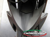 CARBONVANI MV Agusta Rivale Carbon Front Fender