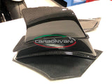 CARBONVANI Ducati Panigale V4 / V4R (20/21) Carbon Winglet Plate (left)