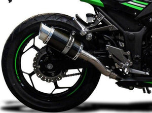 DELKEVIC Kawasaki Ninja 300 Full Exhaust System with Mini 8" Carbon Silencer – Accessories in the 2WheelsHero Motorcycle Aftermarket Accessories and Parts Online Shop