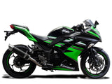 DELKEVIC Kawasaki Ninja 300 Full Exhaust System with DL10 14" Carbon Silencer – Accessories in the 2WheelsHero Motorcycle Aftermarket Accessories and Parts Online Shop