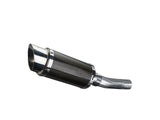 DELKEVIC Honda CB500F (13/18) Slip-on Exhaust Mini 8" Carbon – Accessories in the 2WheelsHero Motorcycle Aftermarket Accessories and Parts Online Shop